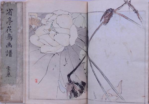 省亭花鳥画譜 全3冊(渡辺省亭画) / 古本、中古本、古書籍の通販は ...