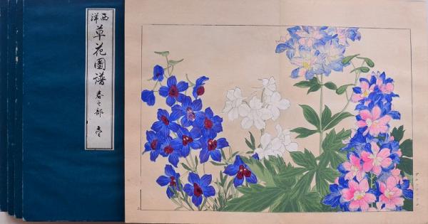 西洋草花図譜 全5冊(谷上広南筆) / 古本、中古本、古書籍の通販