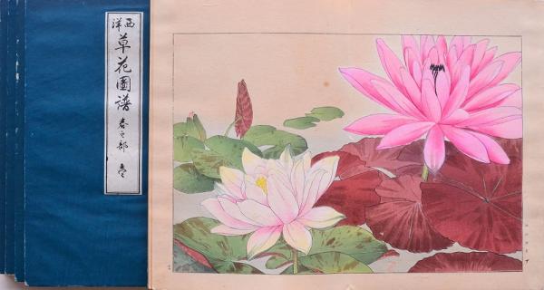 西洋草花図譜(谷上廣南筆) / 古本、中古本、古書籍の通販は