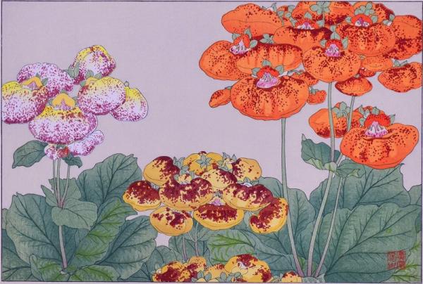 木版画彩華Ⅰ 洋花六撰(谷上広南) / 赤尾照文堂 / 古本、中古本