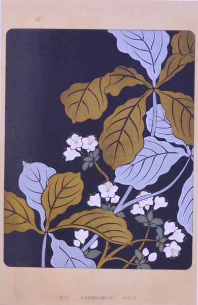 浮世絵模様集(楠瀬日年) / 赤尾照文堂 / 古本、中古本、古書籍の