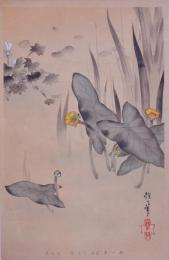 琳派百華譜 夏之巻 抱一筆：菖蒲、河骨、菱