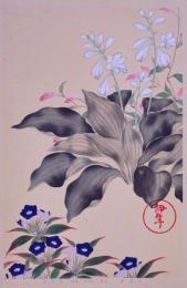 琳派百華譜 冬之巻 宗達筆：花蓼、玉簪花、 龍膽