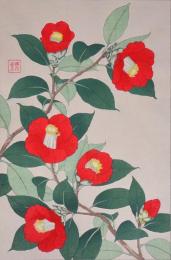 日本の花こよみ Floral Calendar of Japan  分売3  ツバキ 2月