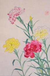 日本の花こよみ Floral Calendar of Japan  分売10  カーネーション 5月
