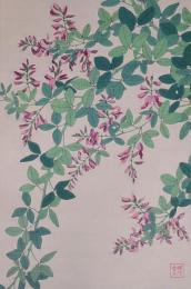 日本の花こよみ Floral Calender of Japan  分売17  ハギ
