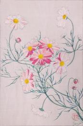 日本の花ごよみ Floral Calendar of Japan  分売20  コスモス 10月