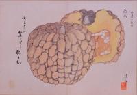 上野清江自筆画帖