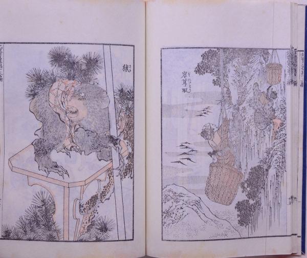 北斎漫画 13編(葛飾北斎 著) / 古本、中古本、古書籍の通販は「日本の