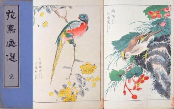 花鳥画選(沼田荷舟著) / 古本、中古本、古書籍の通販は「日本の古本屋