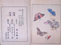 花鳥画集 （茶色）