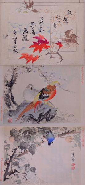 江戸屋の飾り絵 今尾景年の花鳥図の特別セット 8枚組 景年花鳥画鑑十二図(今尾景年画) / 古本、中古本、古書籍の通販