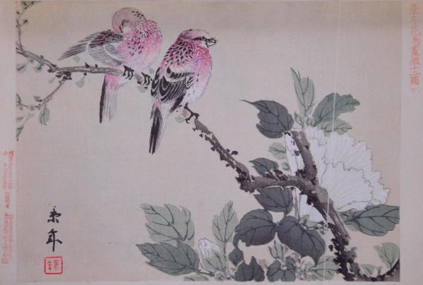 江戸屋の飾り絵　今尾景年の花鳥図の特別セット　8枚組 今尾景年『景年花鳥画譜』。 - Etsy 日本