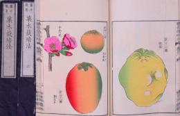 菓木栽培法