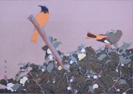 樂山花鳥画譜 分売：33 『茶の花にしょうびたき』（冬）