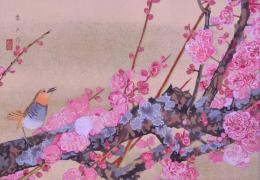 樂山花鳥画譜 分売：40 『八重紅梅に駒鳥』（中春）