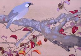 樂山花鳥画譜 分売：42 『枯木とさねかづらに大官鳥』（冬）