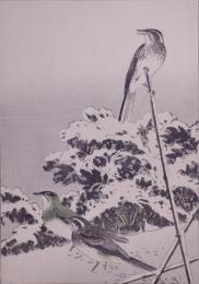 景年花鳥画譜 分売：14