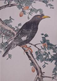 景年花鳥画譜 分売：17