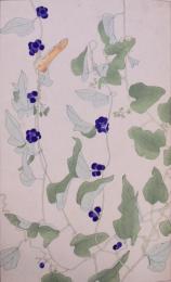 杉浦非水 非水百花譜 分売73：あをつゞらふぢ（青葛藤）