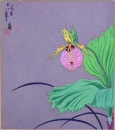 徳力富吉郎版画色紙  くまがい草