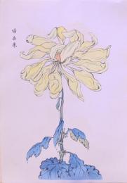 契花百菊 再版 (大)  分売4  帰去来