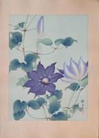 瑞月草花画譜 分売 縦3 鉄仙花