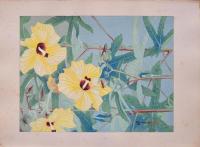 瑞月草花画譜 分売 縦4 黄槿 ハマボウ