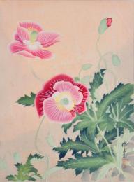 瑞月草花画譜 分売 縦15 芥子？