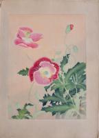 瑞月草花画譜 分売 縦15 芥子？