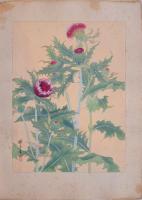 瑞月草花画譜 分売 縦16 薊（アザミ）