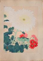 瑞月草花画譜 分売 縦20 菊