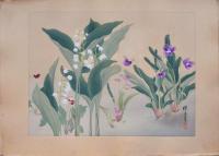 瑞月草花画譜 分売 横8 すずらん・すみれ