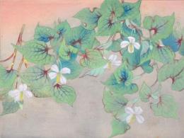 瑞月草花画譜 分売 横19 ドクダミ？