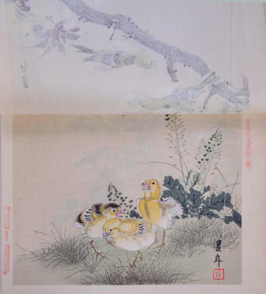 景年花鳥画鑑十二図(今尾景年画) / 古本、中古本、古書籍の通販