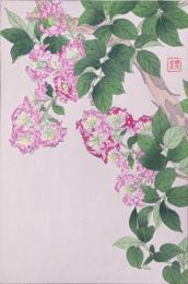 日本の花こよみ Floral Calendar of Japan  分売15  サルスベリ 8月