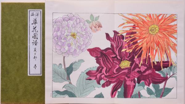 西洋草花図譜 重版(緑) 青帙(谷上廣南編) / 古本、中古本、古