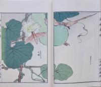 蟲類画譜