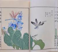 蟲類画譜