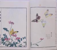 蟲類画譜