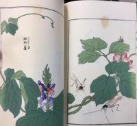 蟲類画譜
