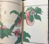 蟲類画譜