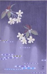 名櫻選集  桜花二十五種図  分売2 早晩山櫻