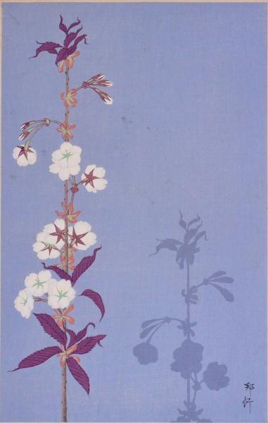人気 近代日本名画撰 ： 赤尾照文 / 安田靫彦(監修・浦田儀一) 紅白椿 書