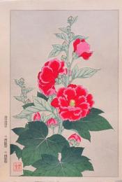 花こよみ 分売 ： 葵