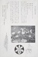 非水百花譜  分売 い 布袋葵  ほていあおい