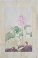 非水百花譜  分売 い 布袋葵  ほていあおい