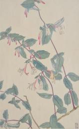 非水百花譜  分売 う   忍冬 すいかづら