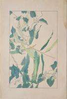 非水百花譜  分売 え  灸花 やいとばな