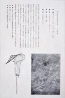 非水百花譜  分売 き  天南星 てんなんしょう